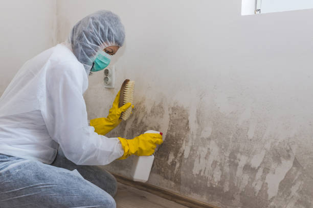 Best Crawl Space Mold Removal  in Centreville, VA