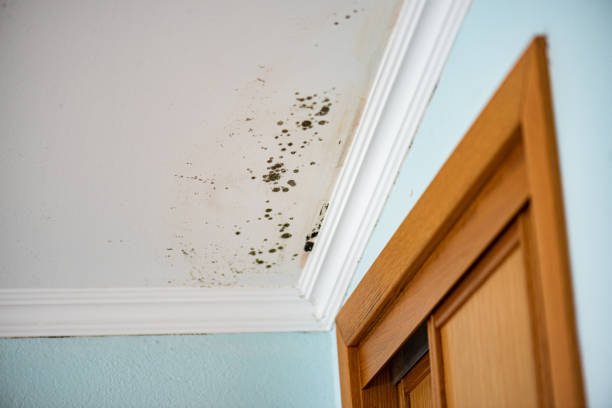 Water Damage Restoration in Centreville, VA
