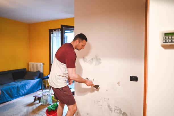 Mold Testing and Removal in Centreville, VA