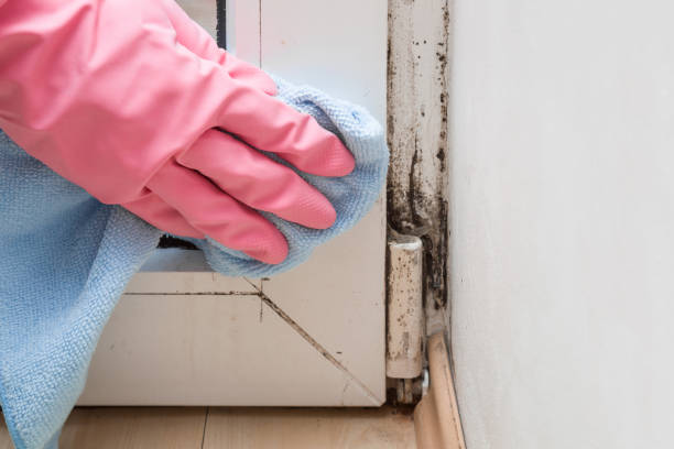 Crawl Space Mold Removal in Centreville, VA